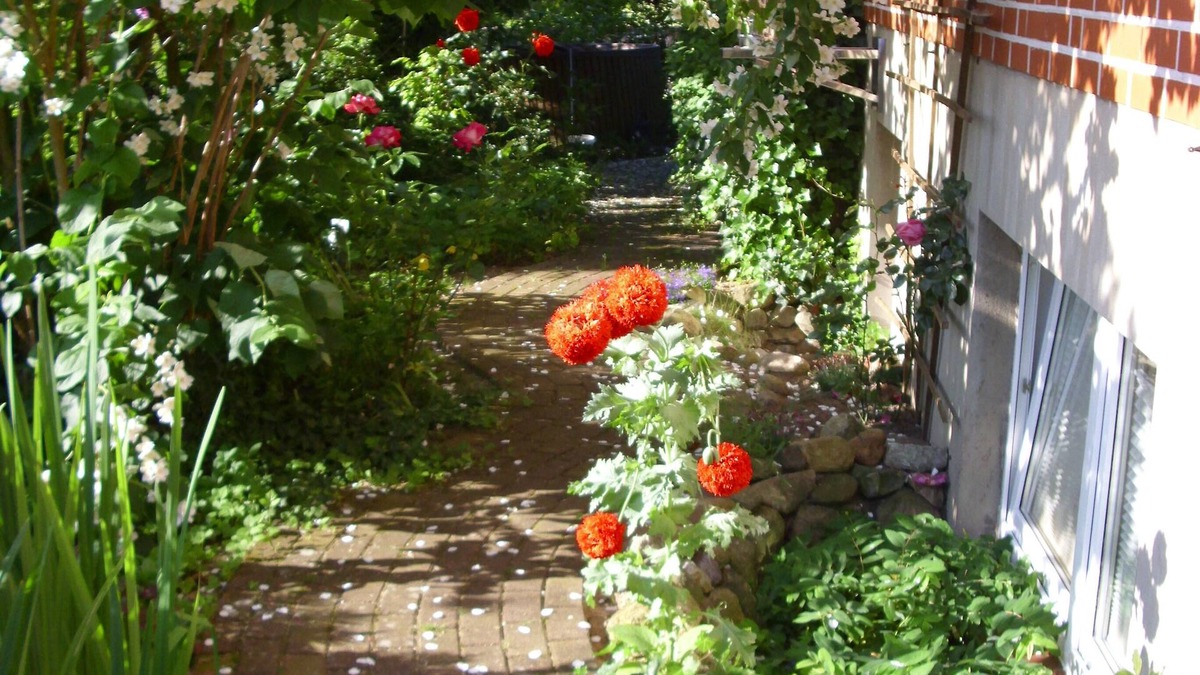Amelinghausen Apartment | Apartment in the romantic garden Note days of action !