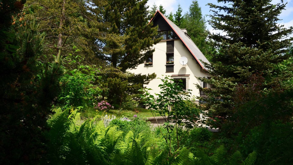 Altenberg Apartment | Apartment in the Gründeltal; Idyllic location; Nature reserve Weißeritzwiesen