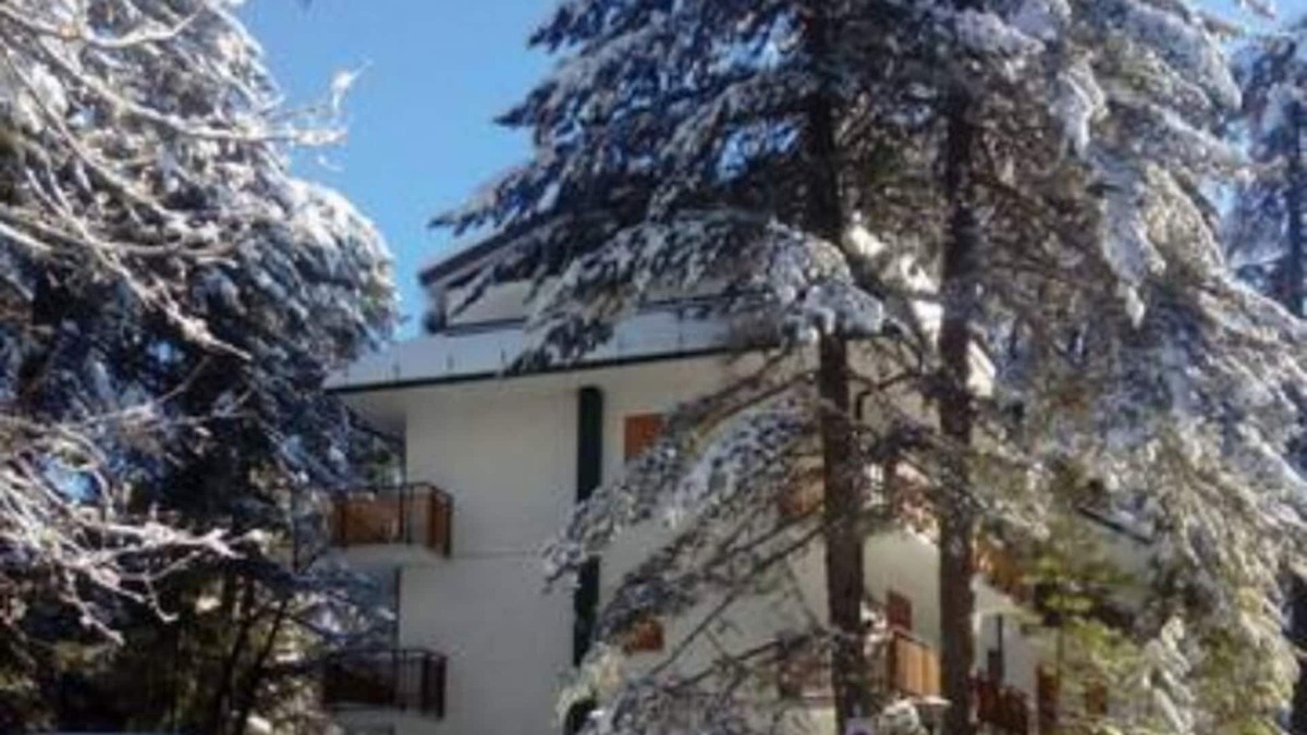 Camigliatello Apartment | Apartment "LA SCALETTA BLU"