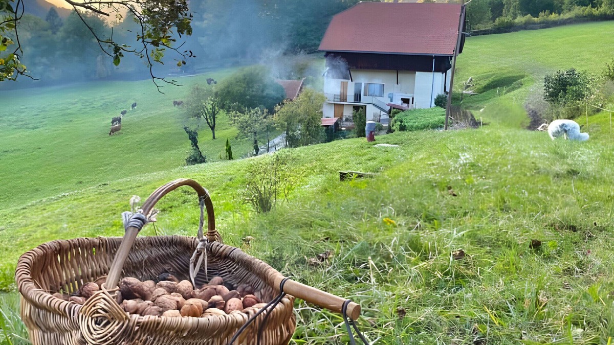 Ugine Apartment | Apartment 'La Ferme Du Mont Charvin' with Mountain View, Private Terrace and Balcony