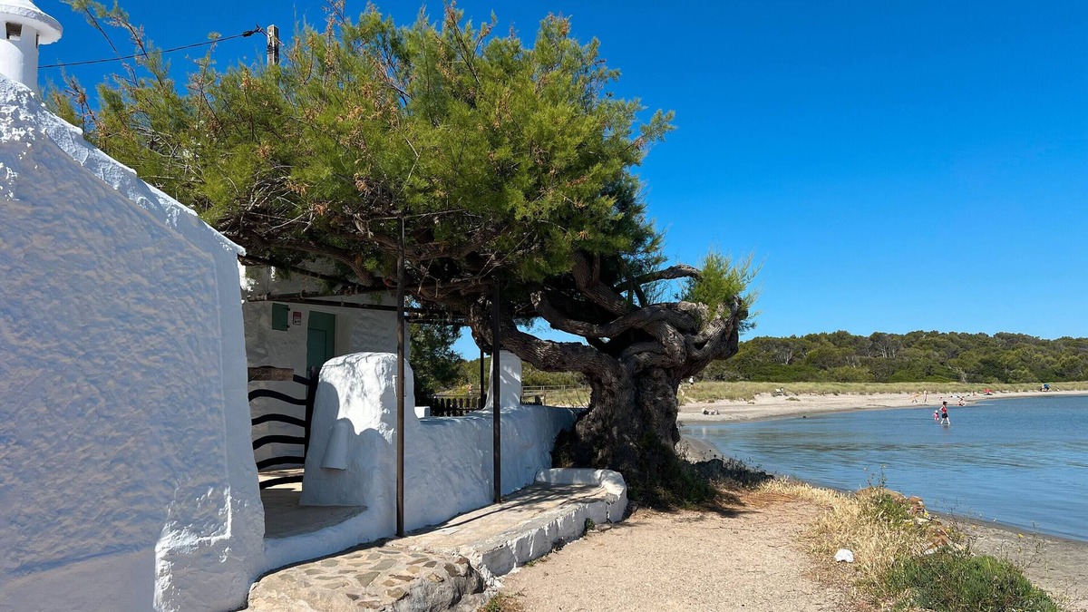 Mahon Apartment | Apartment 'Lamorino Una Casa' with Sea View, Private Terrace and Wi-Fi