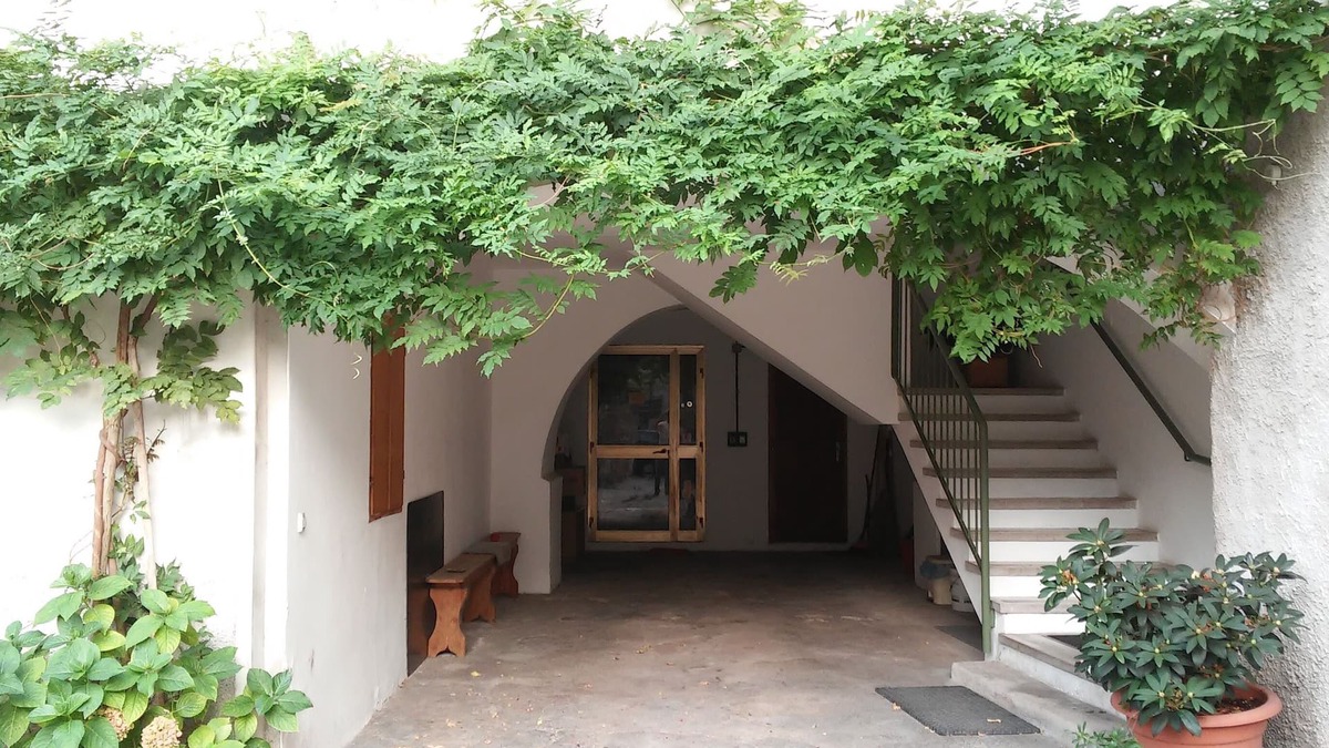 Lasino Apartment | Apartment Masi - Olga (COD CIN IT022243C2SQVZKIIR)