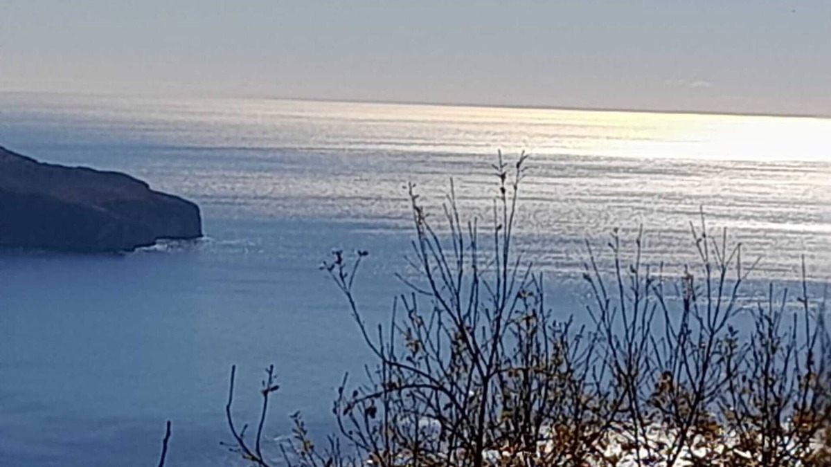 Pisciotta Apartment | Apartment 'Monolocale Mimosa' with Sea View, Wi-Fi and Air Conditioning