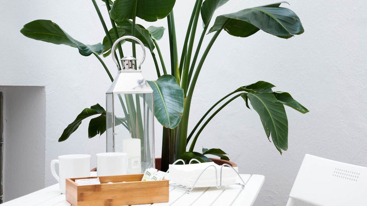 Centro Comercial House | Apartment next to Las Tendillas with garage