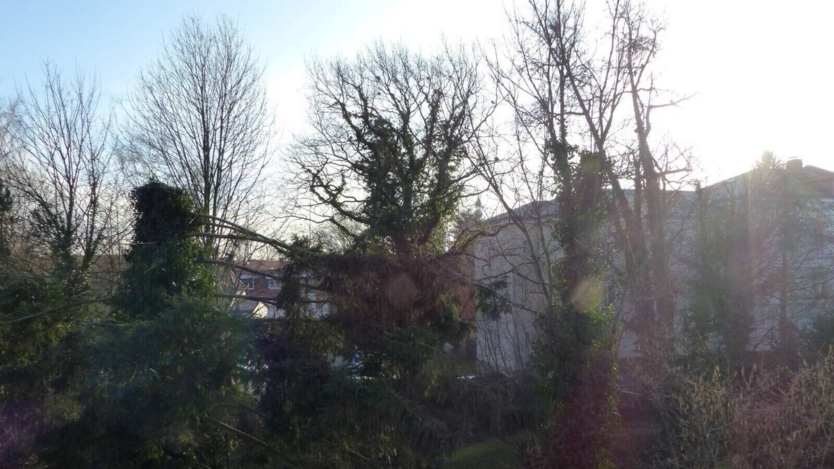 Soest Apartment | Apartment Old Town Soest, 1 Bedroom, Living Room, Max. 2 Persons