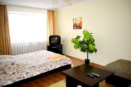 Rivne Apartment | Apartment on Krushelnitskoy 73
