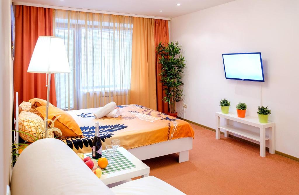 Tomsk Apartment | Apartment On Pirogova 7