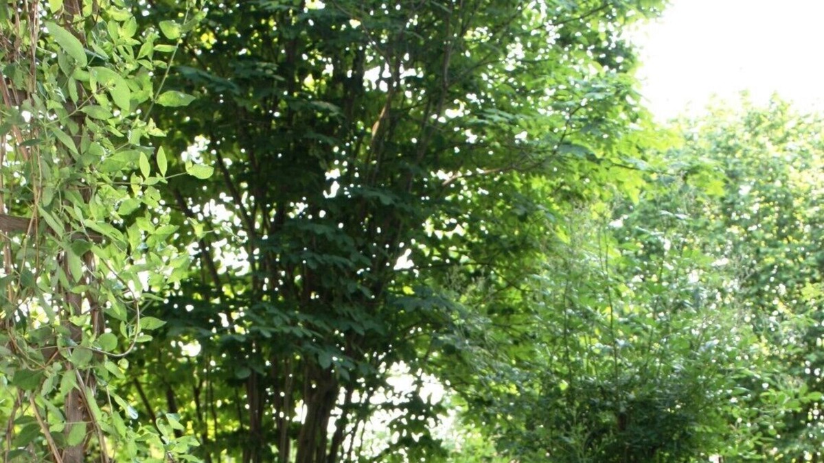 Riedering Apartment | Apartment on the ground floor with garden, pleasant atmosphere
