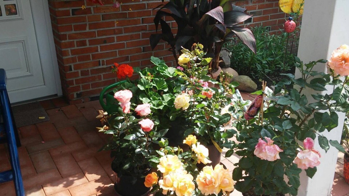 Norddeich Apartment | Apartment on the upper floor with garden space