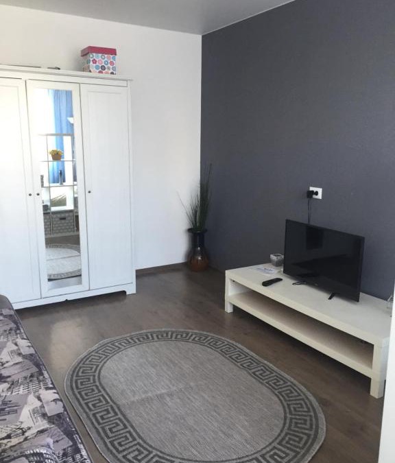 Dachnoe Apartment | Apartment on Veteranov 11