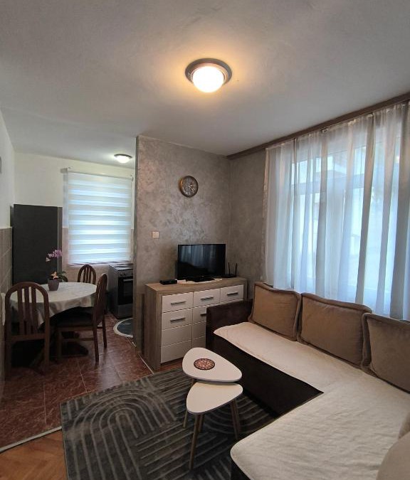 Pluzine Apartment | Apartment ONE