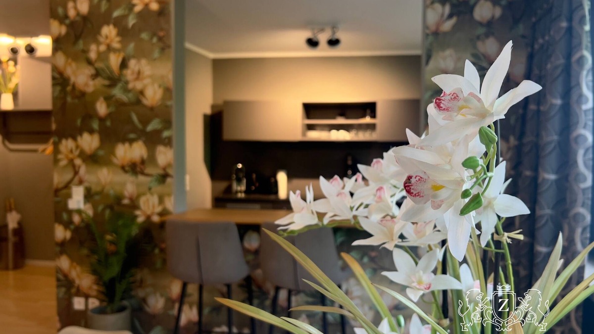 Oldenburg Apartment | Apartment Prinz Leopold Designer Wohnung Zentral Disney+
