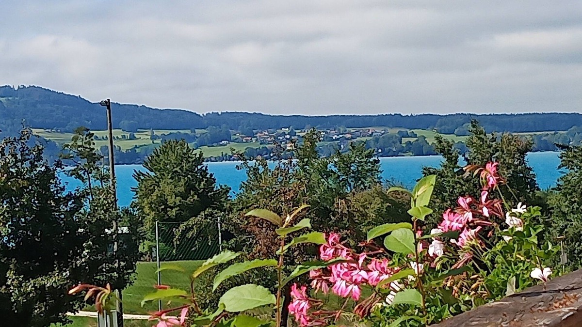 Weyregg am Attersee Apartment | Apartment Rooming Green with lake view from the balcony
