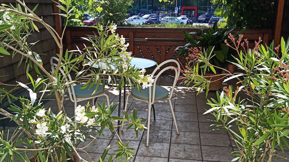 Weyregg am Attersee Apartment | Apartment Rooming Green w. large, private terrace near the lake