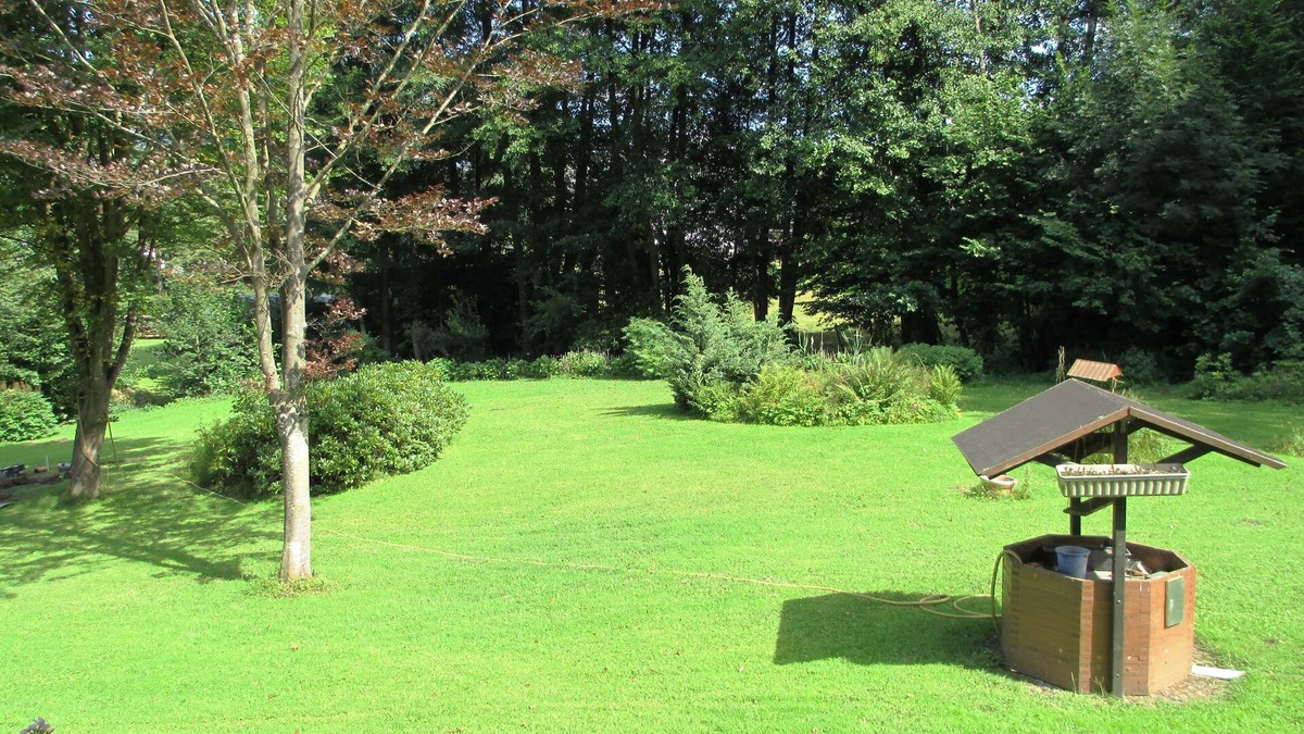 Gees Apartment | Apartment right on the forest in a quiet, secluded location in the heart of the Vulkaneifel
