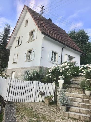 Forbach Apartment | Apartment Rose