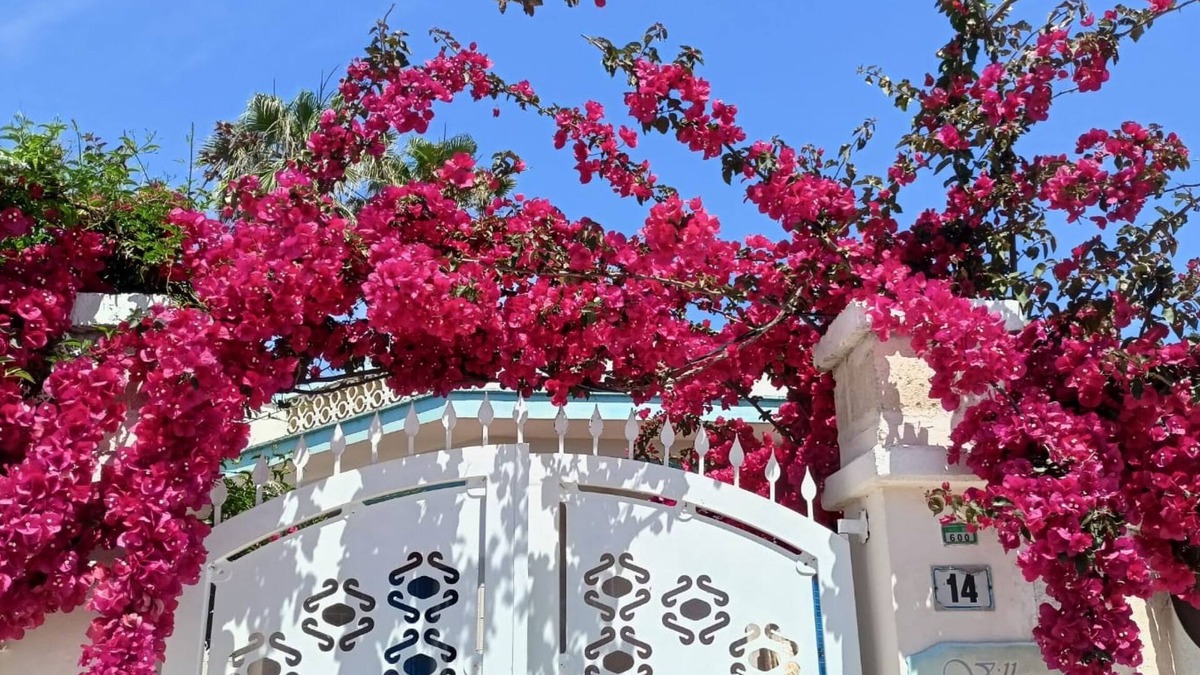 Torre Chianca Villa | Apartment sleeps 4 in a villa 100m from the sandy sea