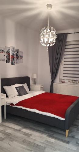 Brasov Old Town Apartment | Apartment SOFIA