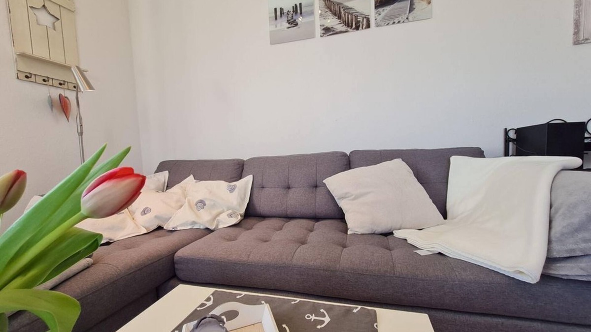 Garding Apartment | Apartment Star - birdhouse