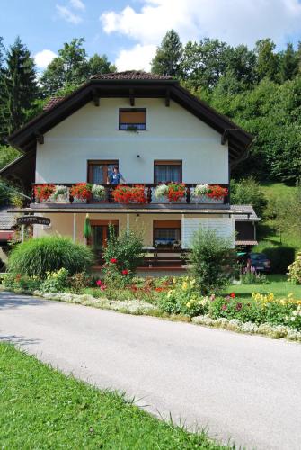 Spodnja Lipnica Apartment | Apartment Stefelin