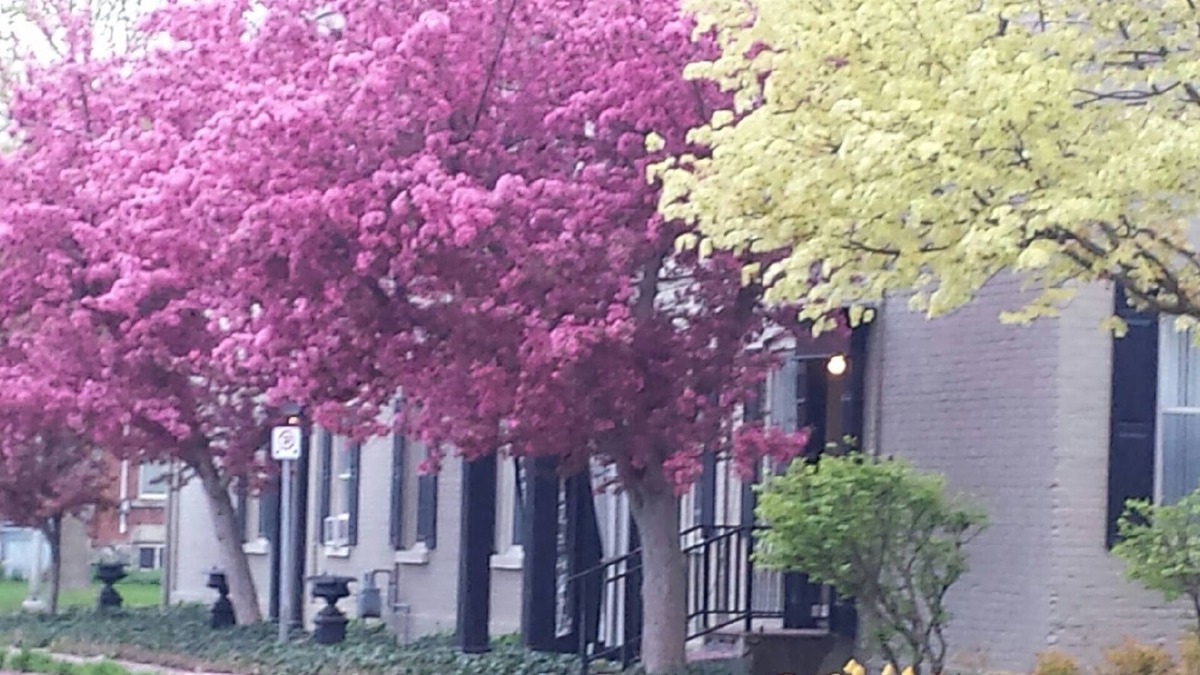 Stratford Apartment | Apartment Suite close to theatres, shopping, restaurants