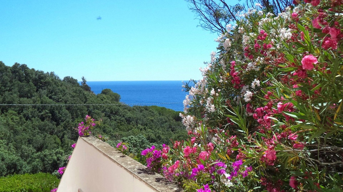 Capoliveri Apartment | Apartment surrounded by tranquility with beautiful sea view