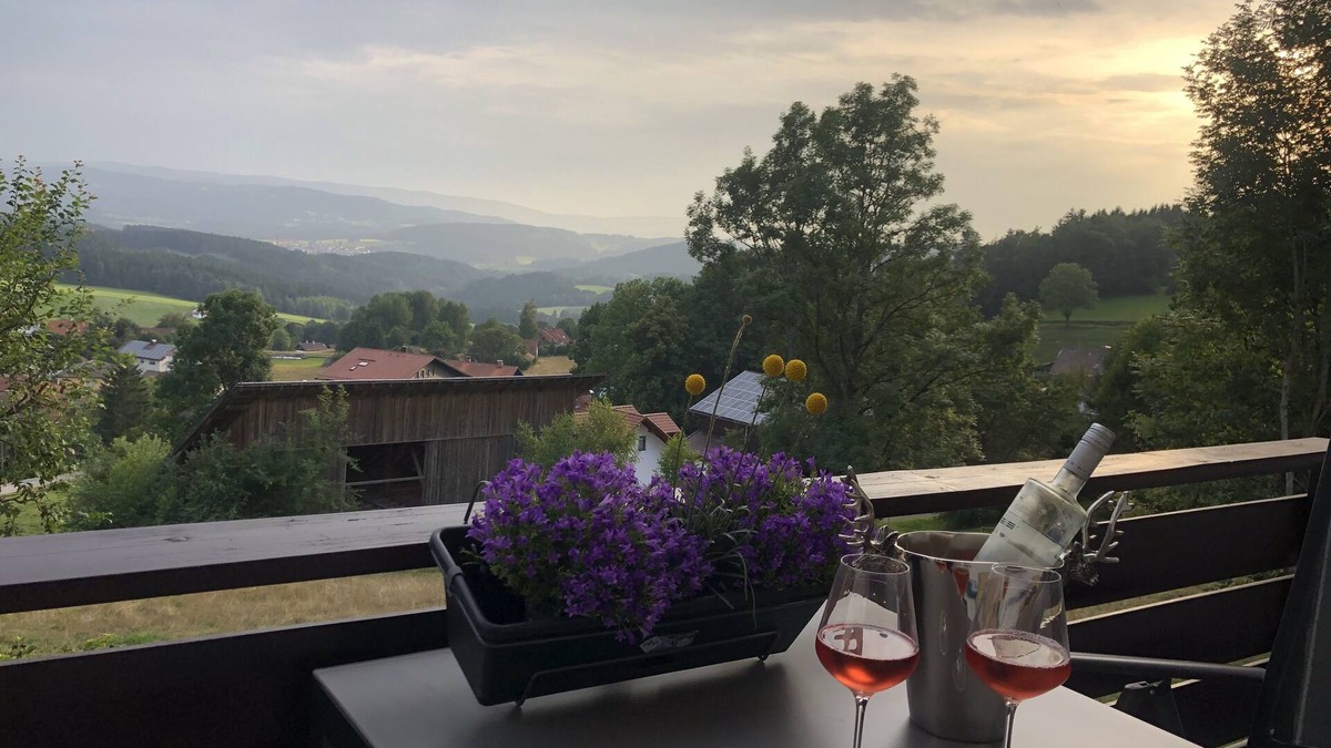 Bobrach Apartment | Apartment Tälerblick Maxi - with large balcony and great view