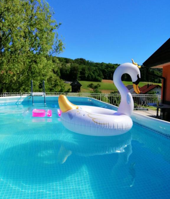 Cerklje ob Krki Apartment | Apartment Tina with Seasonal Pool
