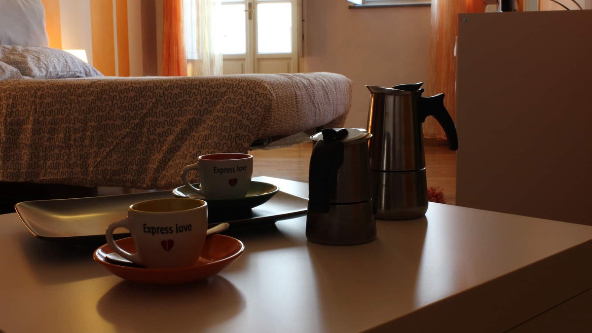 Roman Quarter Apartment | Apartment Turin center