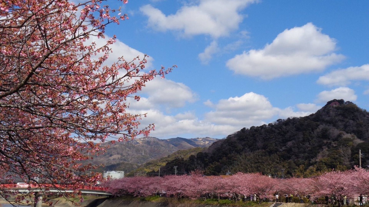 Yatsu Apartment | Apartment type room 202 where you can spend a rela/Kamo-gun Shizuoka