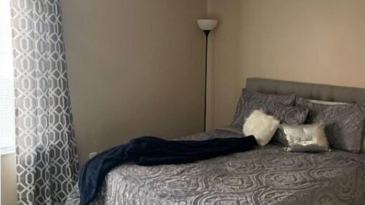 Coliseum Central Apartment | Apartment!