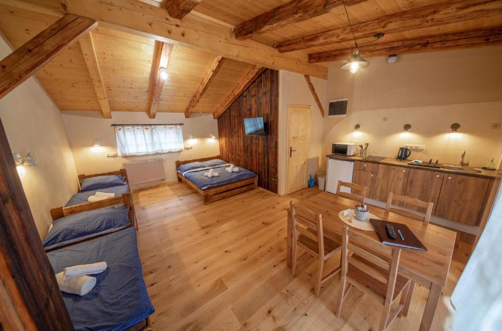 Teplice nad Metuji Apartment | Apartment Ve Mlýně