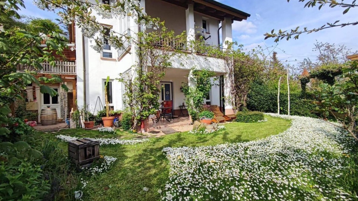 Leinsweiler Apartment | Apartment "Village View"