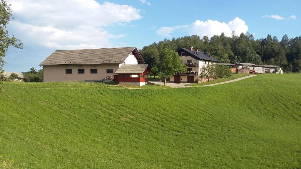Praprotna Polica House | Apartment Vrtacnik