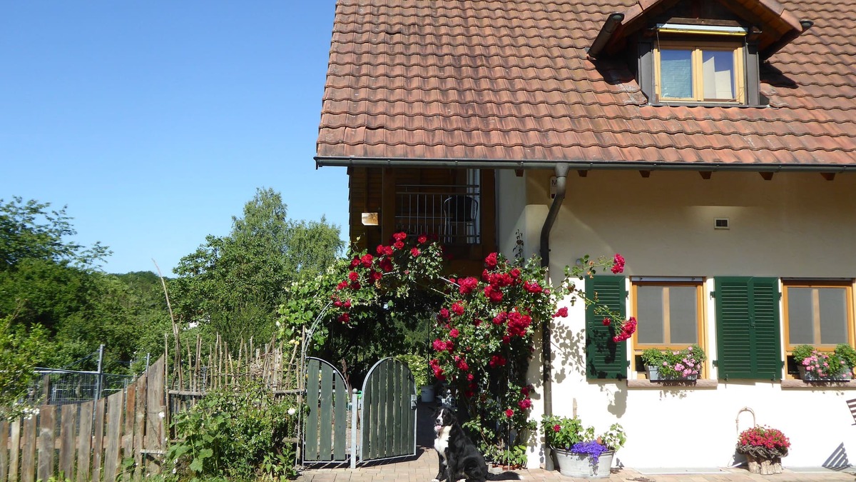 Kleinsteinhausen Apartment | Apartment Waldblick