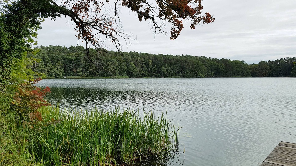 Waldsieversdorf Apartment | Apartment Waldsieversdorf/Buckow am Daebersee