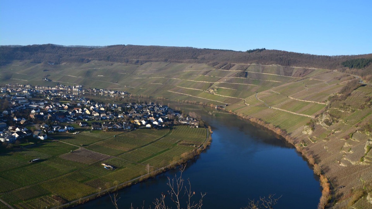 Niederemmel Apartment | Apartment with a beautiful view
