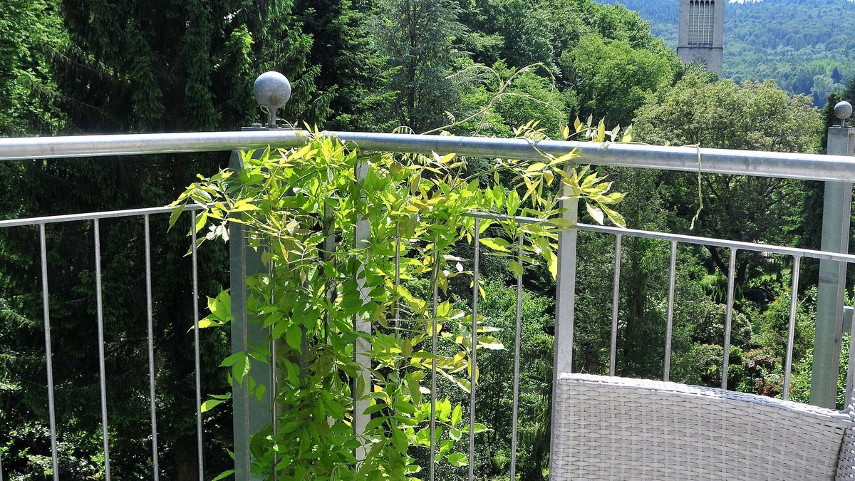 Badenscheuern Apartment | Apartment with balcony and dream view