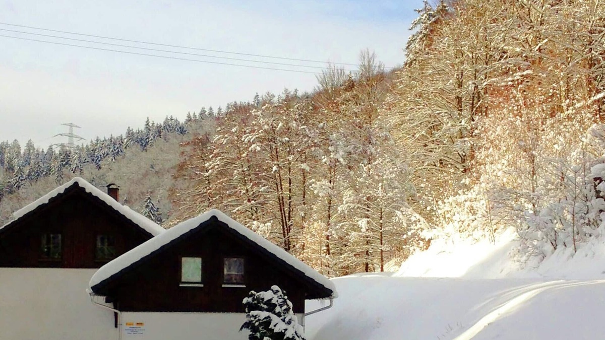 Goldisthal Apartment | Apartment with forest in Goldisthal Thuringia