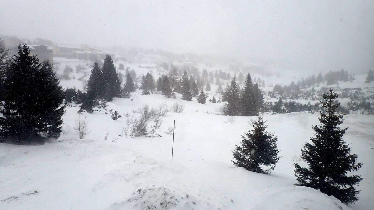 Passo del Tonale Apartment | Apartment with kitchen 300 m from the ski runs, in the Italian Alps