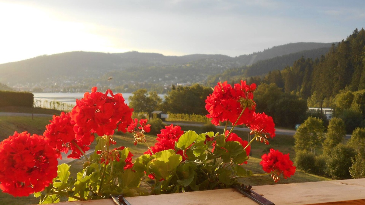 Gerardmer Apartment | Apartment with lake view in residence