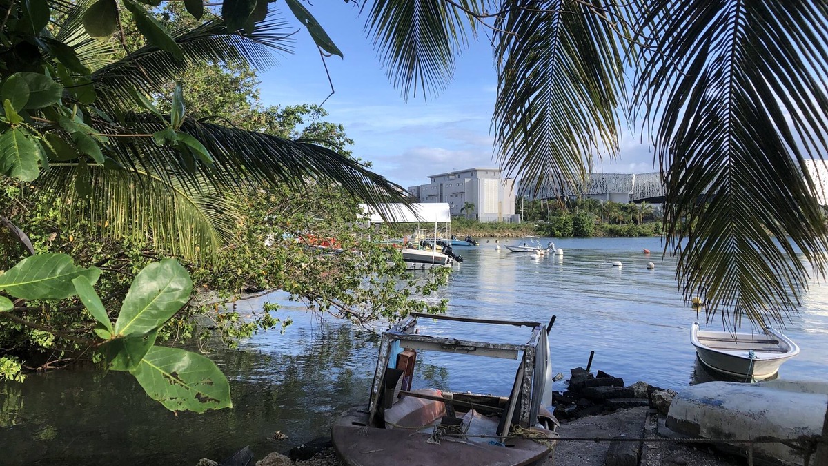 Pointe-a-Pitre Apartment | Apartment with panoramic view