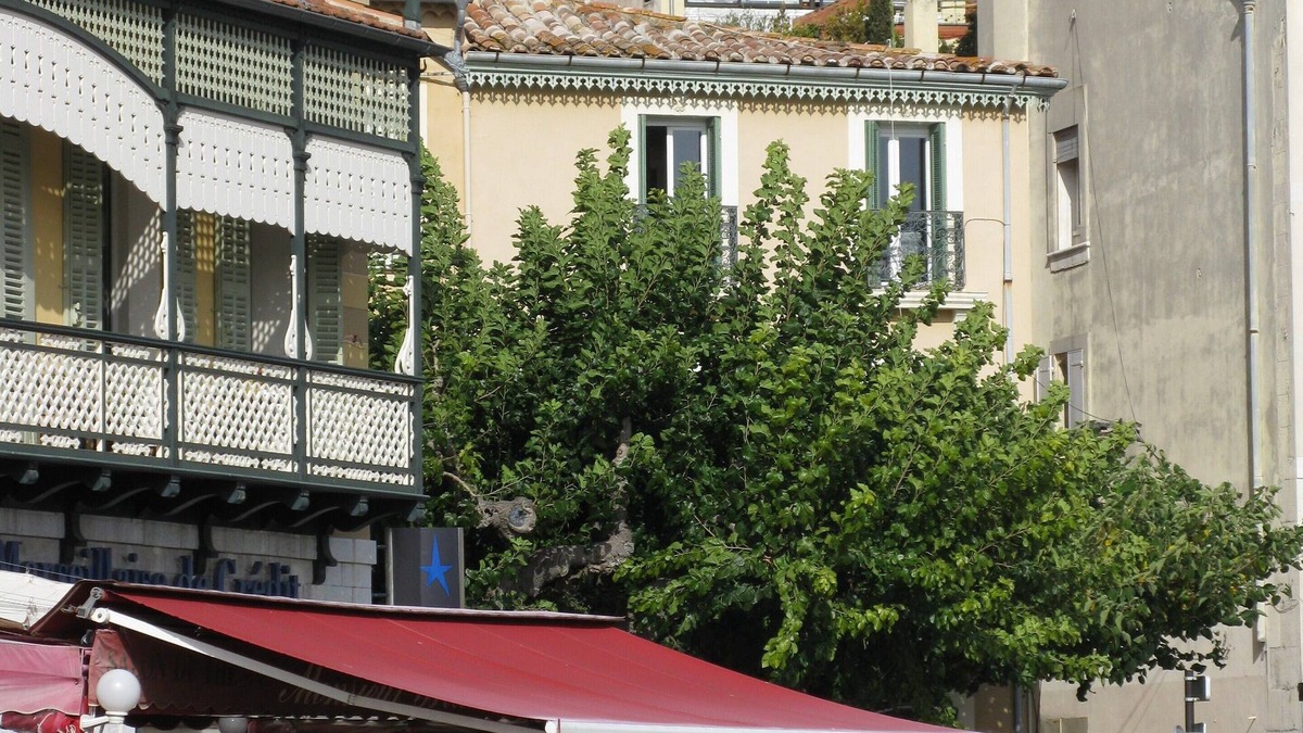 Cassis Apartment | Apartment with panoramic view of the sea and the port, all mod cons