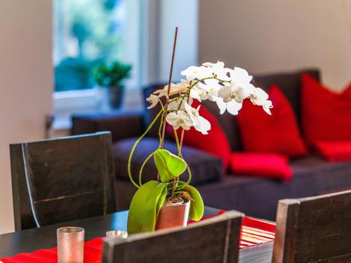 Innsbruck Apartment | Apartment Zittera - Adults only