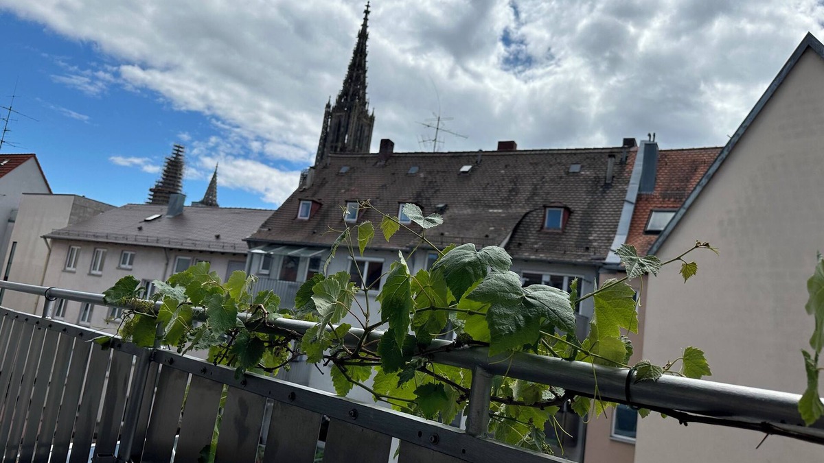 Ulm Apartment | Apartment11