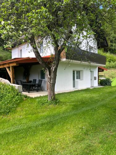 Slovenj Gradec Apartment | Apartments Barbra - Robinson life