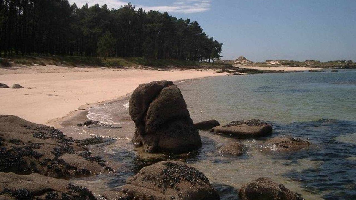 Isla de Arosa Apartment | Apartments Illa by the sea IV
