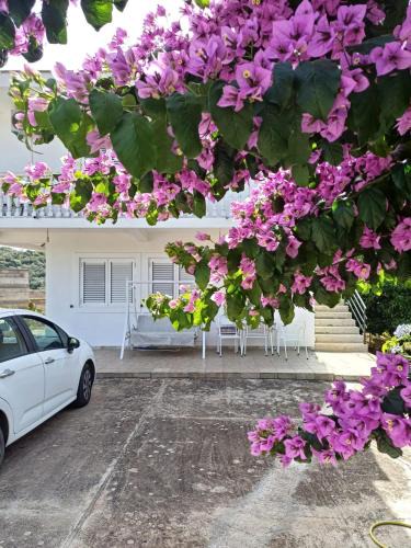Ulcinj Apartment | Apartments Ivana