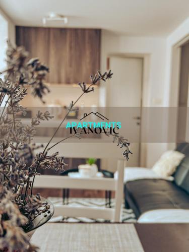 Idrija Apartment | Apartments Ivanović