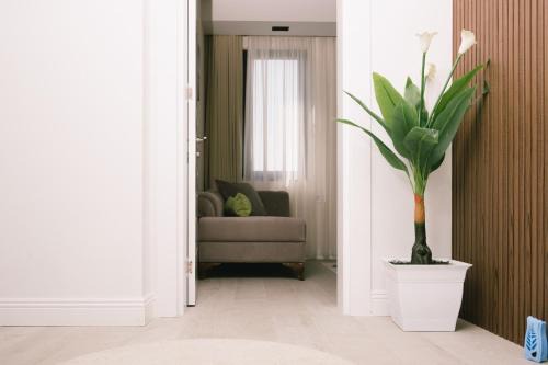 Ulcinj Apartment | Apartments Moon White Lux